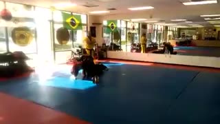 Hapkido