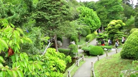 Gardens for Japanese Tea