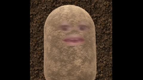 Potato Man