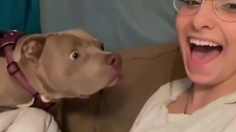 Ohh very cute dog reaction