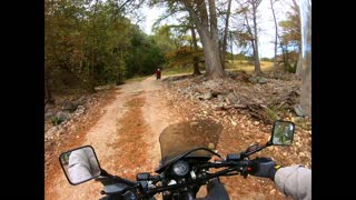 DR650s in the TEXAS Hill Country