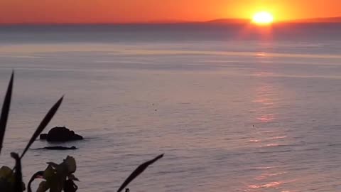 Fiji 4K Video - Beautiful Nature Scenery with Relaxing Music | 4K VIDEO ULTRA HD