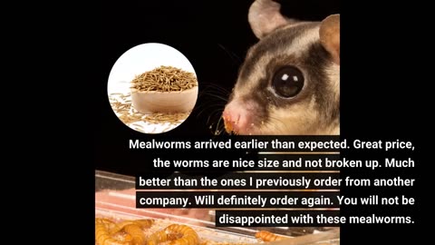 Non-GMO Dried Mealworms 5LB 100% Natural Large Size-Overview