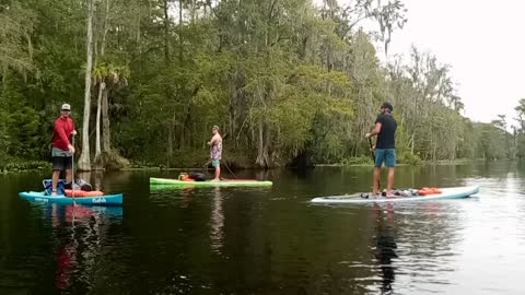 Silver Springs and River Paddle board