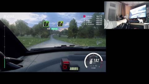 Dirt Rally 2.0 - Citroen C4 WRC - Germany - SS 6