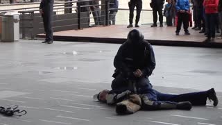 Police dogs demonstrate their training for spectators