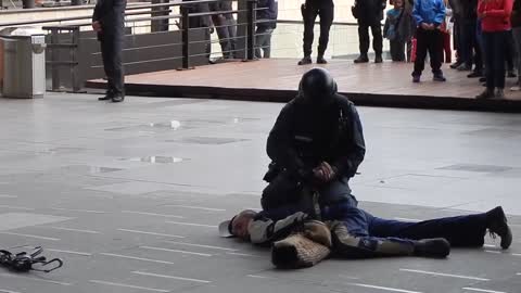 Police dogs demonstrate their training for spectators