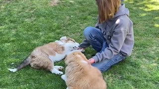 Surprising Kiddos with Puppy's Brother