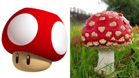 Super Mario Characters in REAL LIFE.