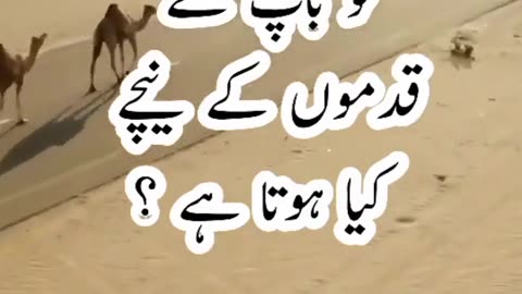 Urdu shayari