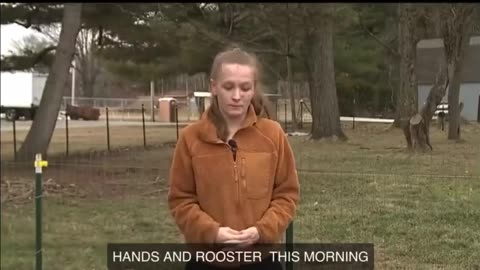 Woman Finds All Her Chickens Dead After East Palestine Disaster