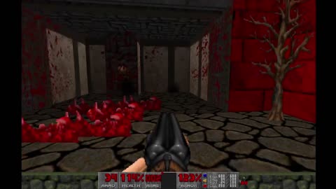 Brutal Doom 2 - Hell on Earth - Ultra Violence - Blood Citadel (PSMAP17) - 100% completion