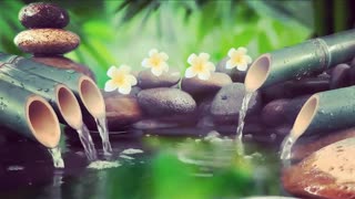 🔴 Relaxing Music 24/7, Stress Relief Music, Sleep Music, Meditation Music, Yoga, Spa, Study