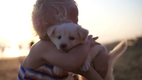 Cute toddler kid hugging lovely white puppy