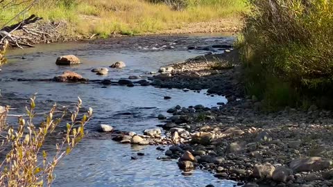 Mountain Stream in front of a Ski Hill