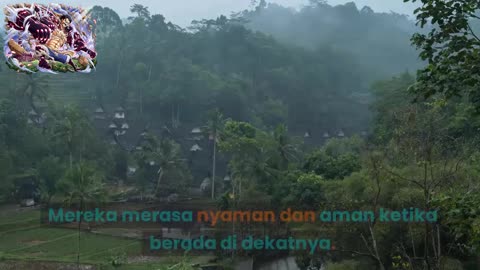 DONGENG SI MERAK DAN SI AYAM JANTAN