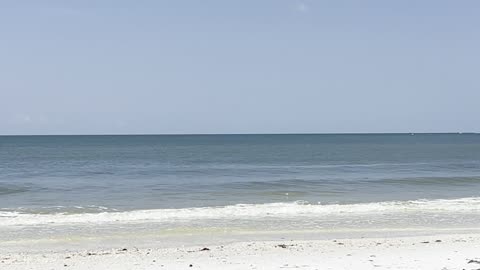 South Lido Key Beach