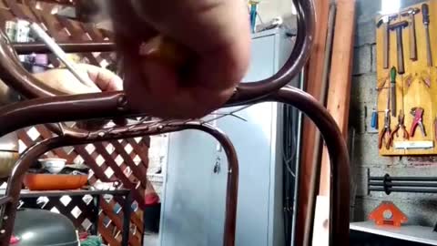 Antique Chair Restoration