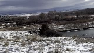 Missouri Headwaters