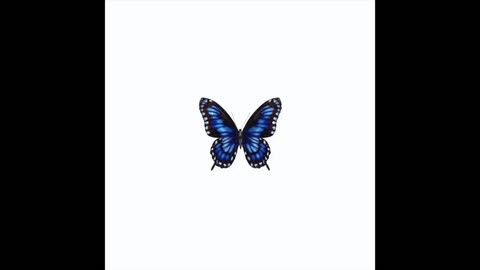 Butterfly (for Julian A.)