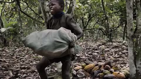 Aquele “chocolate” ao leite, cheio de aditivos químicos, aromatizantes artificiais, conservantes, tem sim (pasmem) um pouco de cacau.