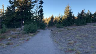 Oregon – Mount Hood – Alpine Tundra to Alpine Forest Transition Area