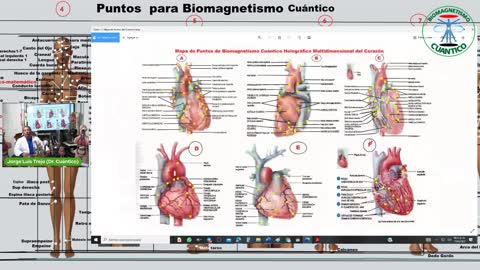 Biomagnetismo Cuántico Holográfico Multidimensional