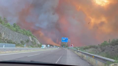 Driving Through a Forest Fire on the Highway