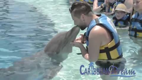 Dolphin Encounter - Punta Cana Tours_Cut