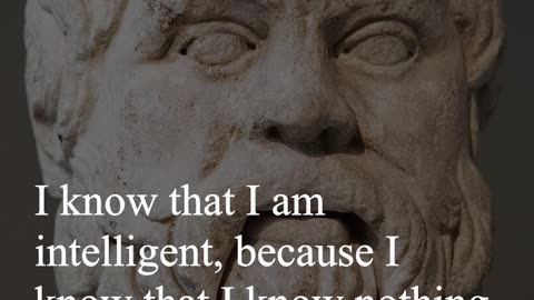 Socrates Quote - I know that I am intelligent, because I know that I know nothing...