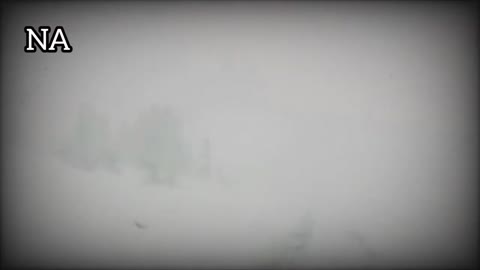 Snow buried California and Nevada. Snowfall today, zero visibility, roads closed