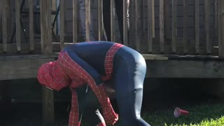 Spider-Man Doesn't Quite Stick Landing