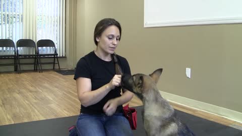 How to train a dog to pay attention (rk50)