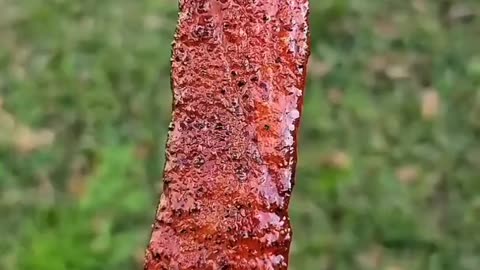 Pork belly on a Stick! | Green Mountain Grills