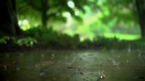 Heavy Rain Sound | Rain Footage | Incredible Footage of Heavy Rain |