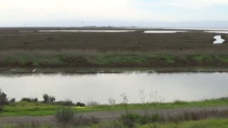 Hayward, CA — Hayward Regional Shoreline #2