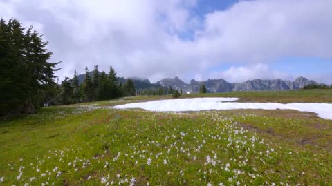 Mount - Rainier - National - Park