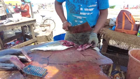 Tuna Fish Cutting By Ravi