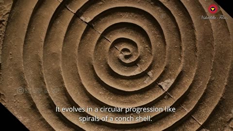 Universe moves like spirals of Shell!