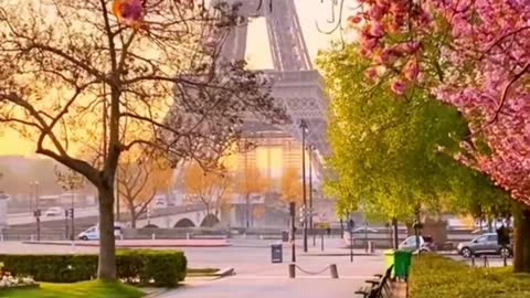 European life Paris comes to the Eiffel Tower in spring