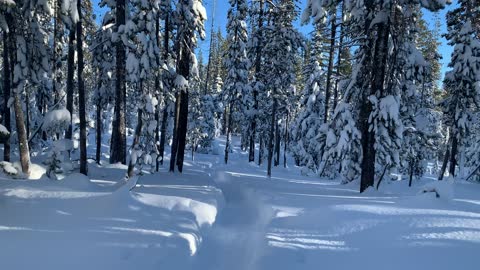 Enjoying the Crisp Snow – Central Oregon – Swampy Lakes Sno-Park – 4K
