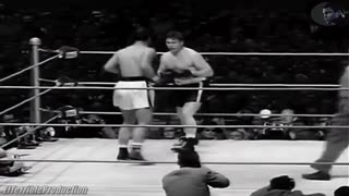 Rocky Marracino Vs Don Cockell