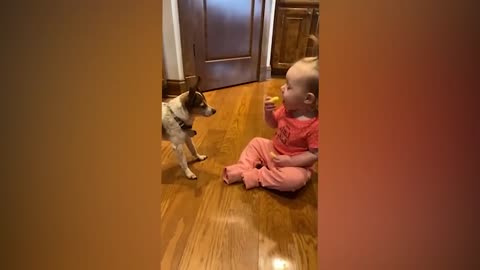 Cutest Babies Play With Dogs And Cats Funny Compilation __ Part 3 || NoLifeWithoutPet