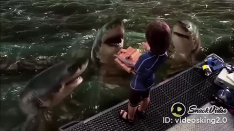 Cute little boy friendly with sharks must watch