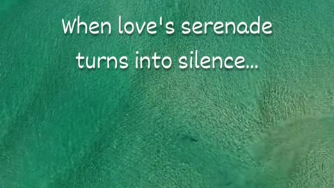 when love's serenade turns... #shots