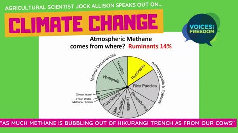 As Much Methane Is Bubbling Out Of Hikurangi Trench As From Our Cows