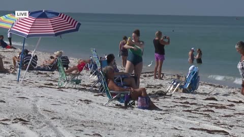 Delnor Wiggins Pass State Park reopens for the first time since Hurricane Ian