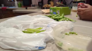 Preserving Sweet Peas Part 1