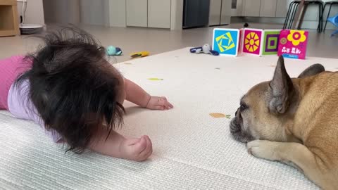 Similarities Between My Dog and Our Baby __CUTEST VIDEO
