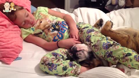Cute Dogs Babysitting Dog And Baby Sleeping Together Compilation